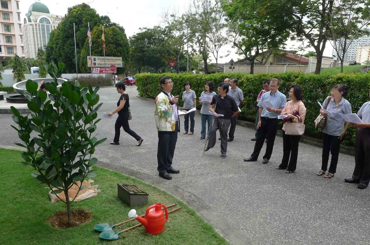 Tree planting at LCM