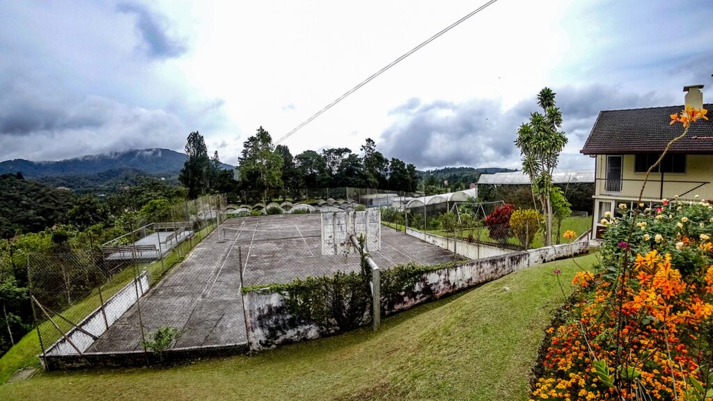 Mission bungalow outdoor court